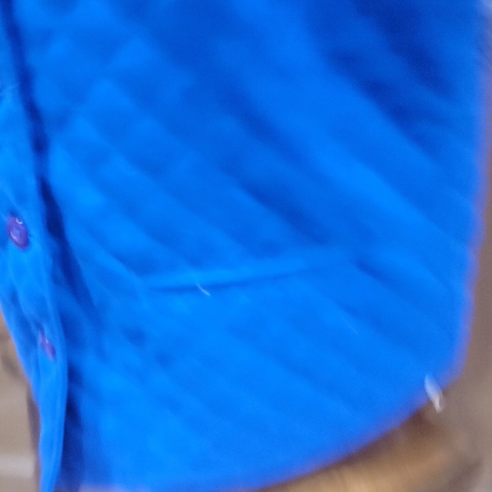Electric Blue Quilted Vest View 5